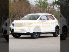 Rugged & Efficient X3 PRO Gasoline Big space SUV Budget-Friendly Support Assembly