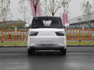 13KW PMS Motor Electric Passenger Vehicles With European Certification