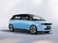 U2 Electric Vehicle 135km/H LHD  80/160Nm 5 Doors 5 Seater 6.6kw Front Drive 3840×1742×1545mm