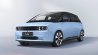 U2 Electric Vehicle 135km/H LHD  80/160Nm 5 Doors 5 Seater 6.6kw Front Drive 3840×1742×1545mm