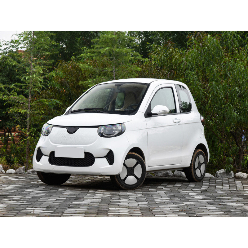 Smart 2 Seater Electric Car With Bright Color 30KW For Young People