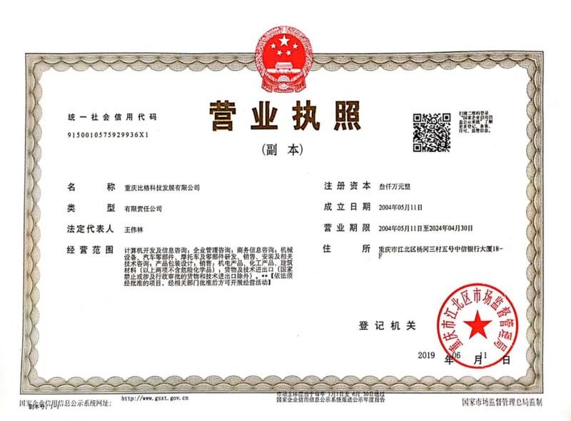 China Chongqing Big Science &amp; Technology Development Co., Ltd. Certification